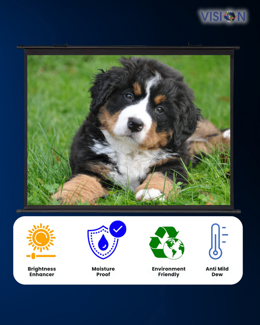 Vision Calendar Wall Hanging Projector Screen 4:3